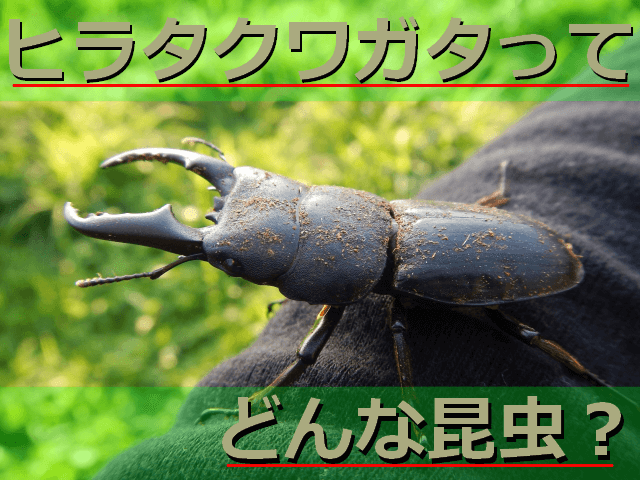 Thumbnail of post image 035